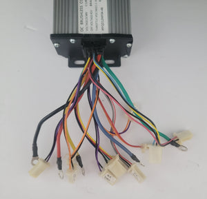 48V Renegade controller WYQD12WF04-48