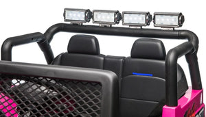 Roll Bar with lights.